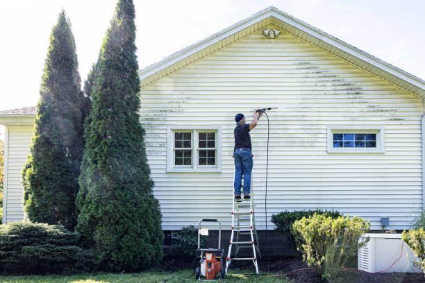 Best Driveway Pressure Washing  in Dunlap, IL